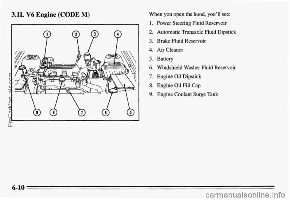 PONTIAC GRAND-AM 1995  Owners Manual 3.1L V6 Engine  (CODE M) 
P 9p P 
When  you  open  the  hood,  you’ll  see: 
1. 
2. 
3. 
4. 
5. 
6. 
7. 
8. 
9. 
Power Steering  Fluid  Reservoir 
Automatic  Transaxle  Fluid  Dipstick 
Brake  Fluid