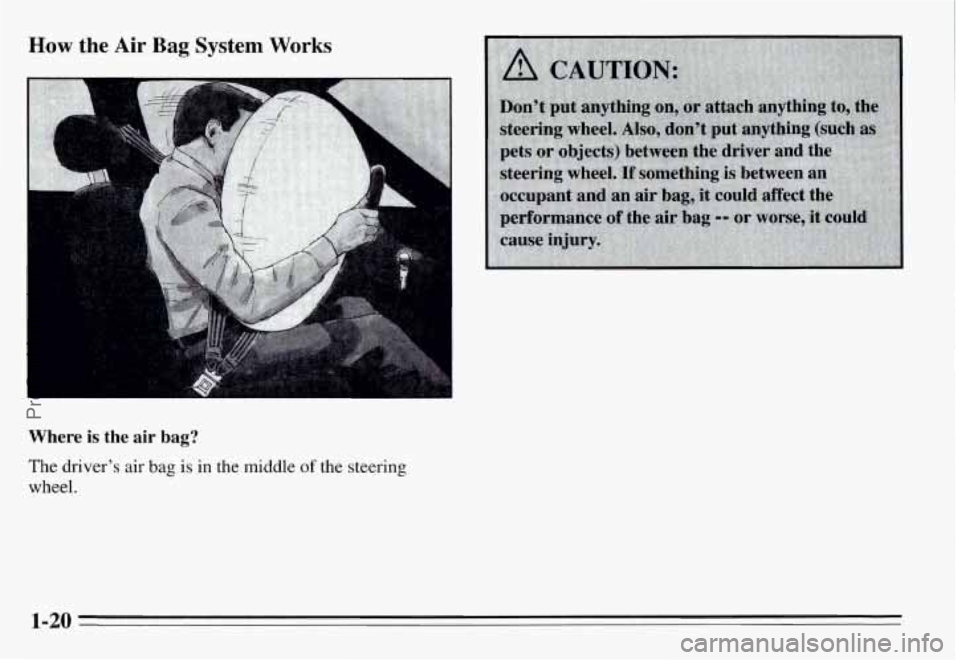 PONTIAC GRAND-AM 1995 Owners Manual How the Air Bag System Works 
Where is the air bag? 
The driver’s air bag is in the middle of the steering 
wheel. 
1-20 
ProCarManuals.com 