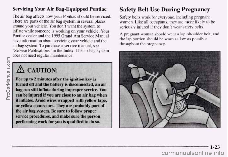 PONTIAC GRAND-AM 1995 Owners Manual Servicing  Your  Air Bag-Equipped  Pontiac 
The  air  bag  affects  how  your  Pontiac  should  be  serviced. 
There  are  parts  of  the  air  bag  system  in  several  places 
around  your  vehicle.