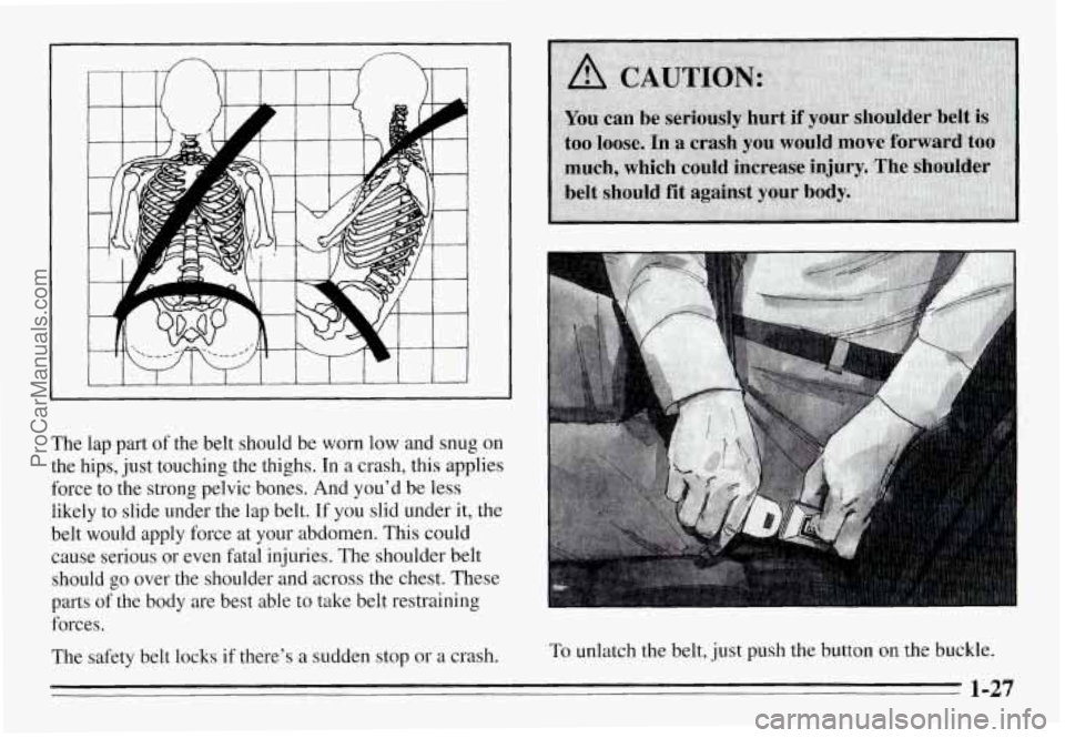 PONTIAC GRAND-AM 1995 Owners Guide The lap part of the belt should be worn low and snug on
the hips, just touching the thighs. In a crash, this applies
force to the strong pelvic bones. And youd be less
like PONTIAC GRAND-AM 1995 Owners Guide The lap part of the belt should be worn low and snug on
the hips, just touching the thighs. In a crash, this applies
force to the strong pelvic bones. And youd be less
like