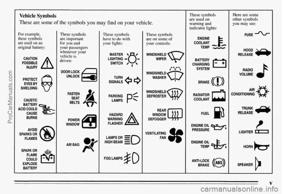 PONTIAC GRAND-AM 1995  Owners Manual Vehicle Symbols 
These  are  some of the symbols you may  find on your vehicle. 
For  example, 
these  symbols 
are used  on  an 
original  battery: 
POSSIBLE A 
CAUTION 
INJURY 
PROTECT EYES  BY 
SHI