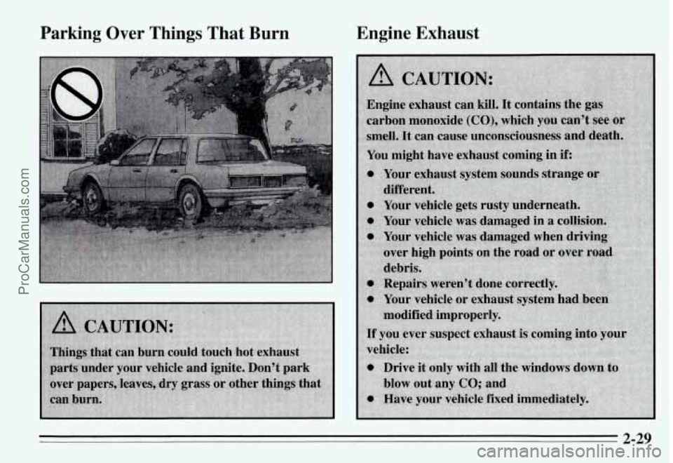 PONTIAC GRAND-AM 1995 Manual Online Parking Over Things That Burn Engine Exhaust
2-29
ProCarManuals.com PONTIAC GRAND-AM 1995 Manual Online Parking Over Things That Burn Engine Exhaust
2-29
ProCarManuals.com