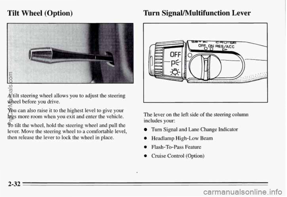 PONTIAC GRAND-AM 1995  Owners Manual Tilt  Wheel  (Option) Turn  SignaVMultifunction Lever 
A tilt steering wheel  allows  you  to adjust the steering 
wheel  before  you drive. 
You  can 
also raise  it to  the  highest level  to give  