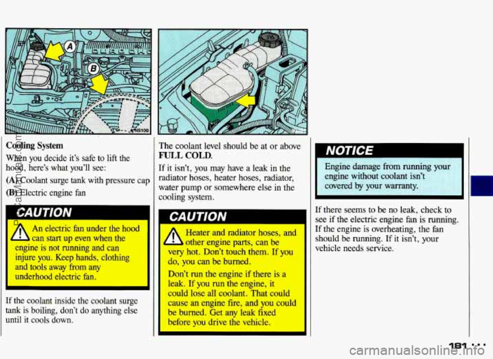 PONTIAC GRAND-AM 1993  Owners Manual Cooling System 
When  you decide  it’s  safe  to lift the 
hood,  here’s  what  you’ll  see: 
(A) Coolant  surge  tank with pressure cap 
(B) Electric  engine  fan 
bAU I IVIV 
1 /r An electric 
