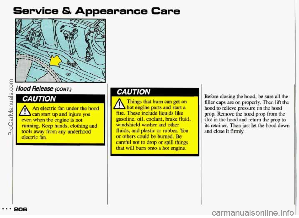 PONTIAC GRAND-AM 1993  Owners Manual Service & Appearance Care 
Hood Release (CONT.) 
~1 CAUTION 
An electric  fan under the  hood 1 
IhlUlll 0 
A 
Things that burn can get 
hot engine parts and start a 
can start up and  injure  you fir