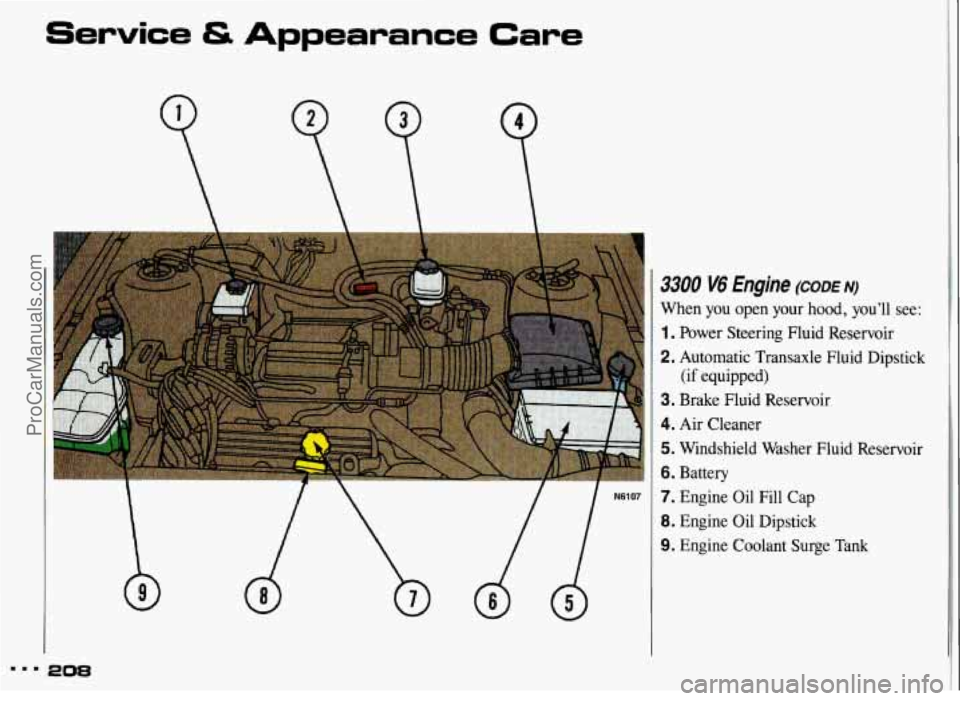 PONTIAC GRAND-AM 1993  Owners Manual Service & Appearance Care 
208 
3300 V6 Engine (CODE N) 
When  you  open  your hood, you’ll  see: 
1. Power  Steering  Fluid  Reservoir 
2. Automatic  Transaxle  Fluid  Dipstick 
3. Brake  Fluid  Re