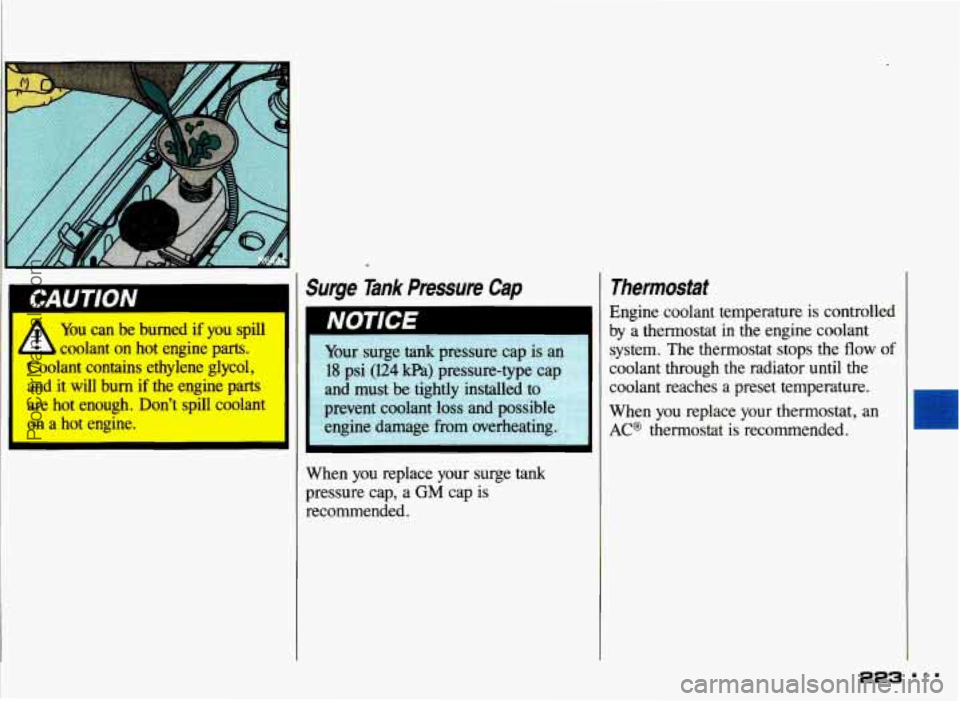 PONTIAC GRAND-AM 1993  Owners Manual 1 CAUTION 
A --u can  be  burned  if you spill 
A Luolant on hot  engine  parts. 
Loolant  contains  ethylene  glycol, 
and  it  will  burn  if  the  engine  parts 
are  hot  enough.  Dont  spill  c