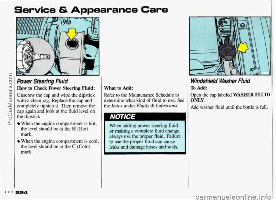 PONTIAC GRAND-AM 1993  Owners Manual Service & Appearance Care 
Power  Steering  Fluid 
How to Check  Power  Steering  Fluid: 
Unscrew the cap and  wipe  the dipstick 
with  a  clean  rag.  Replace  the cap and 
completely  tighten 
it. 