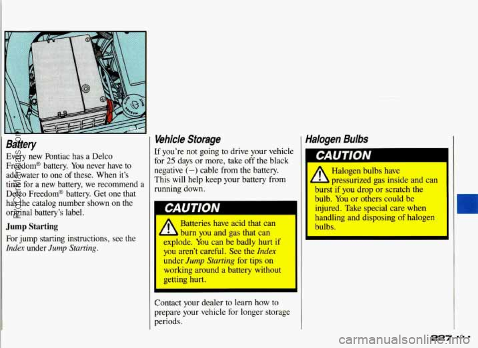 PONTIAC GRAND-AM 1993  Owners Manual Battery 
Every  new  Pontiac  has a  Delco 
Freedom@  battery. 
You never  have  to 
add  water  to  one  of  these.  When it’s 
time  for  a  new  battery, 
we recommend  a 
Delco  Freedom@  batter
