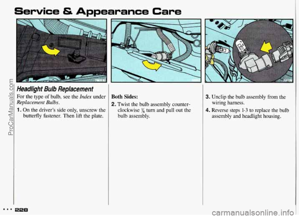 PONTIAC GRAND-AM 1993  Owners Manual Service & Appearance Care 
Headlight  Bulb  Replacement 
For the type  of bulb,  see  the Index under 
Replacement Bulbs. 
1. On  the  driver’s  side  only,  unscrew  the 
butterfly  fastener.  Then