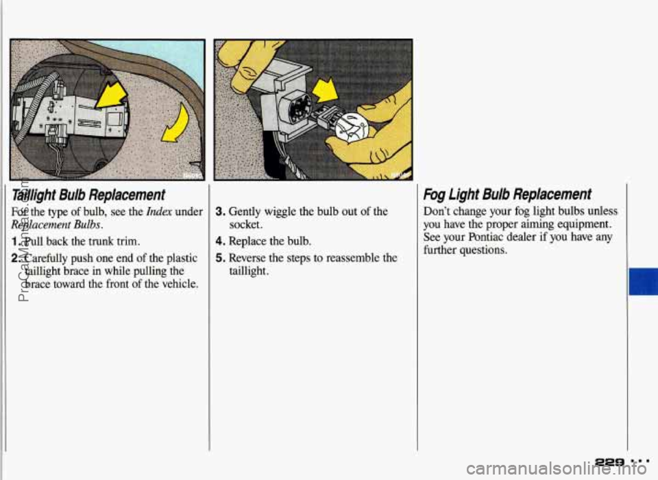 PONTIAC GRAND-AM 1993  Owners Manual raillight  Bulb  Replacement 
For the  type of bulb,  see  the Index under 
Replacement Bulbs. 
1. Pull  back  the  trunk  trim. 
2. Carefully  push  one  end  of the  plastic 
taillight  brace  in  w