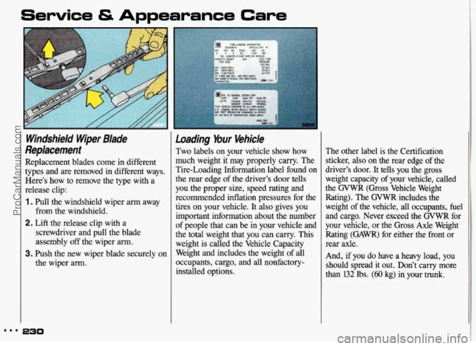 PONTIAC GRAND-AM 1993 Owners Manual Service & Appearance Care
Windshield Wiper Blade
Replacement
Replacement blades come in different
types and are removed in different ways.
Here’s how to remove the type with a
PONTIAC GRAND-AM 1993 Owners Manual Service & Appearance Care
Windshield Wiper Blade
Replacement
Replacement blades come in different
types and are removed in different ways.
Here’s how to remove the type with a