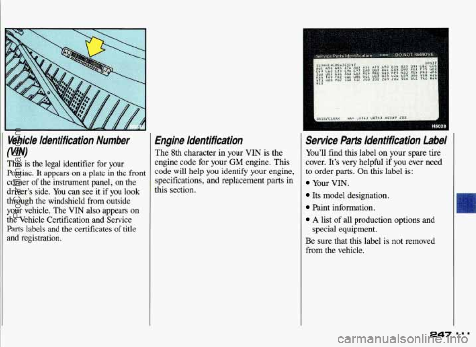 PONTIAC GRAND-AM 1993 Owners Manual (VlN) Vehicle Identification Number
This
is the legal identifier for your
Pontiac. It appears on a plate in the front
corner of the instrument panel,
on the
drivers side. You PONTIAC GRAND-AM 1993 Owners Manual (VlN) Vehicle Identification Number
This
is the legal identifier for your
Pontiac. It appears on a plate in the front
corner of the instrument panel,
on the
drivers side. You