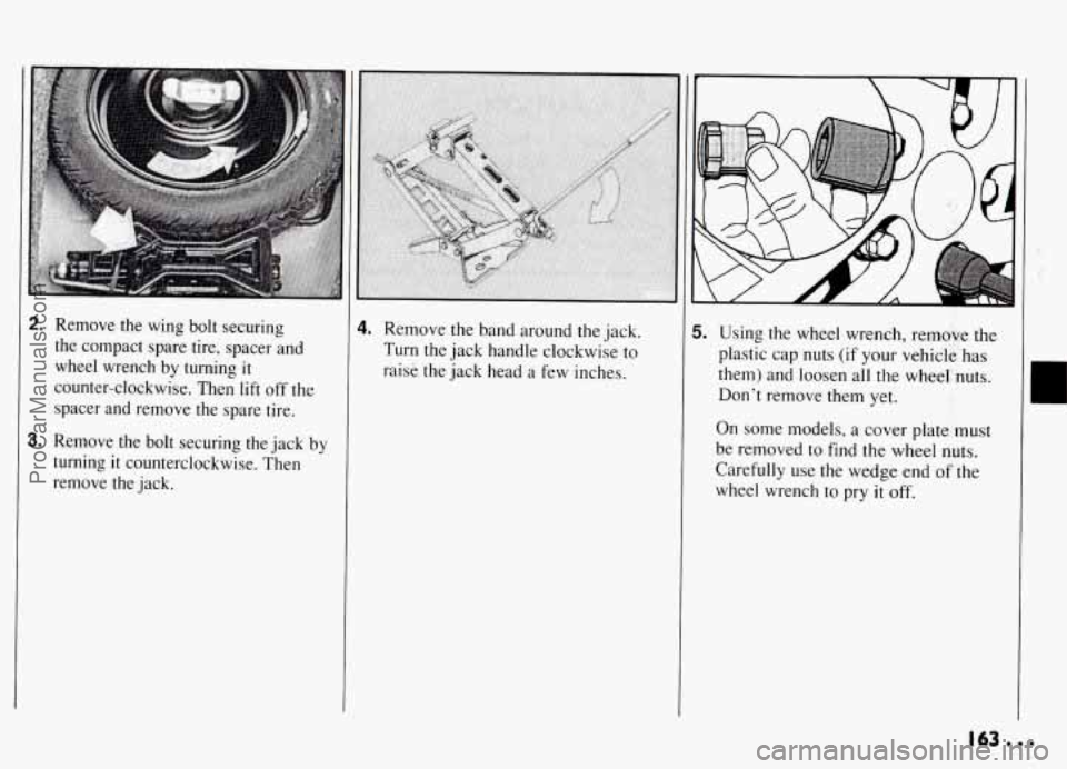 PONTIAC GRAND-AM 1994  Owners Manual 2. Remove  the  wing  bolt securing 
the  compact  spare tire, spacer and 
wheel  wrench  by  turning 
it 
counter-clockwise.  Then lift off  the 
spacer  and  remove  the  spare tire. 
3. Remove  the