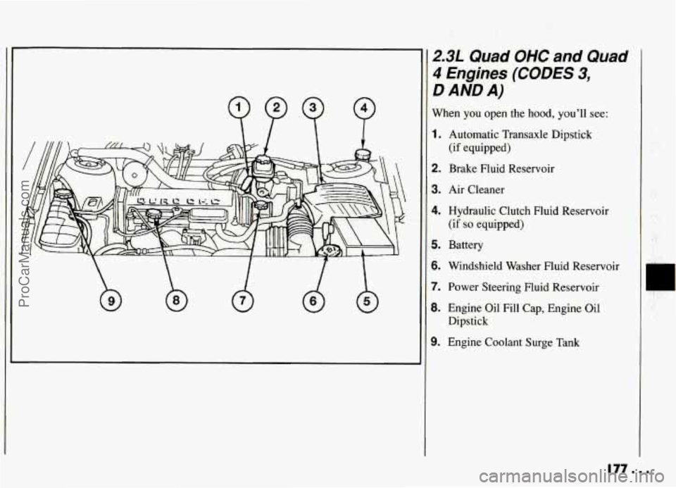 PONTIAC GRAND-AM 1994 Owners Manual 2.3L Quad OHC and Quad
4 Engines (CODES 3,
D AND A)
When you open the hood, youll see:
1. Automatic Transaxle Dipstick
(ifequipped)
2. Brake Fluid Reservoir
3. Air Cleaner
4. Hydra PONTIAC GRAND-AM 1994 Owners Manual 2.3L Quad OHC and Quad
4 Engines (CODES 3,
D AND A)
When you open the hood, youll see:
1. Automatic Transaxle Dipstick
(ifequipped)
2. Brake Fluid Reservoir
3. Air Cleaner
4. Hydra