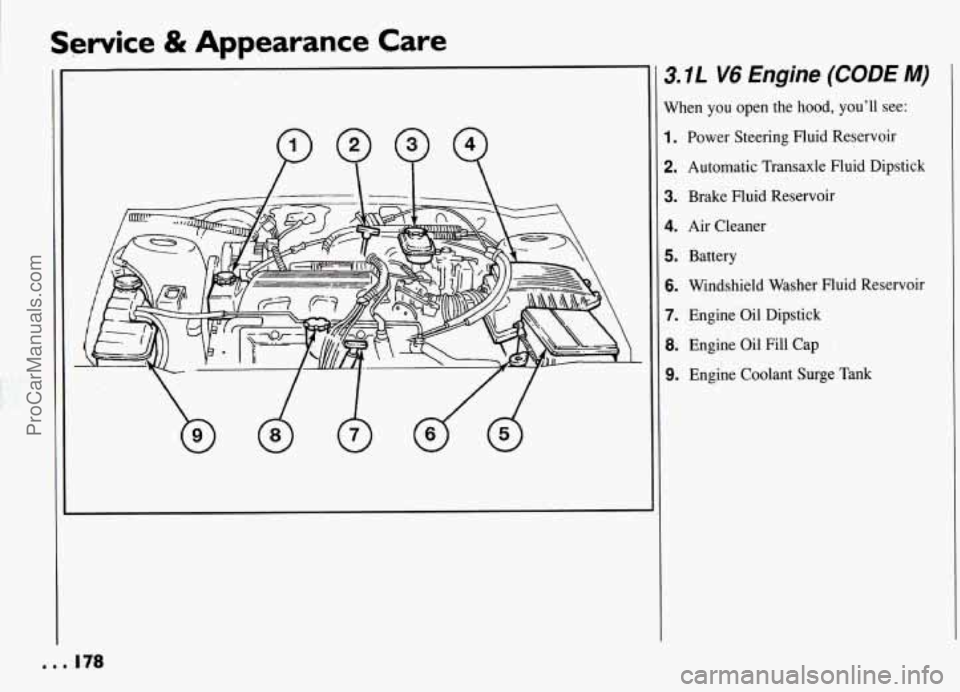 PONTIAC GRAND-AM 1994 Owners Manual Service & Appearance Care
3.IL V6 Engine (CODE M)
When you open the hood, you’ll see:
1. Power Steering Fluid Reservoir
2. Automatic Transaxle Fluid Dipstick
3. Brake Fluid Reservoir PONTIAC GRAND-AM 1994 Owners Manual Service & Appearance Care
3.IL V6 Engine (CODE M)
When you open the hood, you’ll see:
1. Power Steering Fluid Reservoir
2. Automatic Transaxle Fluid Dipstick
3. Brake Fluid Reservoir