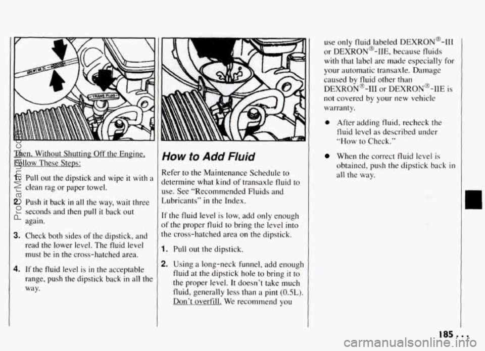 PONTIAC GRAND-AM 1994  Owners Manual Then,  Without  Shutting  Off  the Engine, 
Follow  These  Steps: 
1. Pull  out  the  dipstick  and  wipe  it with a 
clean  rag  or  paper  towel. 
2. Push it back in all  the way,  wait  three 
seco