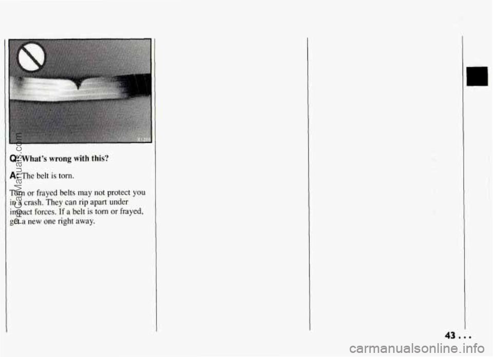 PONTIAC GRAND-AM 1994 Service Manual Q: Whats wrong with this?
A: The belt is torn.
Torn or frayed belts may not protect you
in a crash. They can rip apart under
impact forces. If a belt is torn or frayed,
get a new one PONTIAC GRAND-AM 1994 Service Manual Q: Whats wrong with this?
A: The belt is torn.
Torn or frayed belts may not protect you
in a crash. They can rip apart under
impact forces. If a belt is torn or frayed,
get a new one