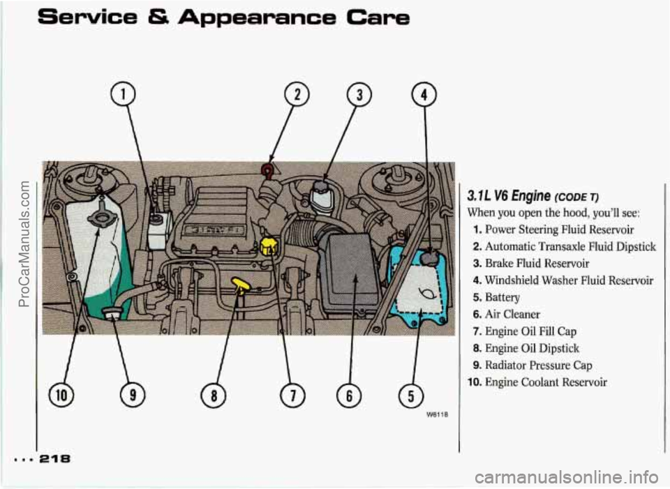 PONTIAC GRAND-PRIX 1993 Owners Manual Service & Appearance Care
21%
W6118
3.IL V6 Engine (CODE T)
When you open the hood, you’ll see:
1. Power Steering Fluid Reservoir
2. Automatic Transaxle Fluid Dipstick
3. Brake Flui PONTIAC GRAND-PRIX 1993 Owners Manual Service & Appearance Care
21%
W6118
3.IL V6 Engine (CODE T)
When you open the hood, you’ll see:
1. Power Steering Fluid Reservoir
2. Automatic Transaxle Fluid Dipstick
3. Brake Flui