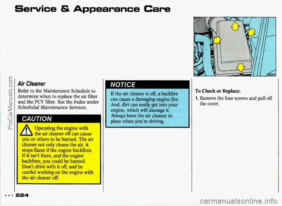 PONTIAC GRAND-PRIX 1993 Owners Manual Service & Appearance Care
i
Air Cleaner
Refer to the Maintenance Schedule to
determine when to replace the
air filter
and the
PCV filter. See the Index under
Scheduled Maintenance Servi PONTIAC GRAND-PRIX 1993 Owners Manual Service & Appearance Care
i
Air Cleaner
Refer to the Maintenance Schedule to
determine when to replace the
air filter
and the
PCV filter. See the Index under
Scheduled Maintenance Servi