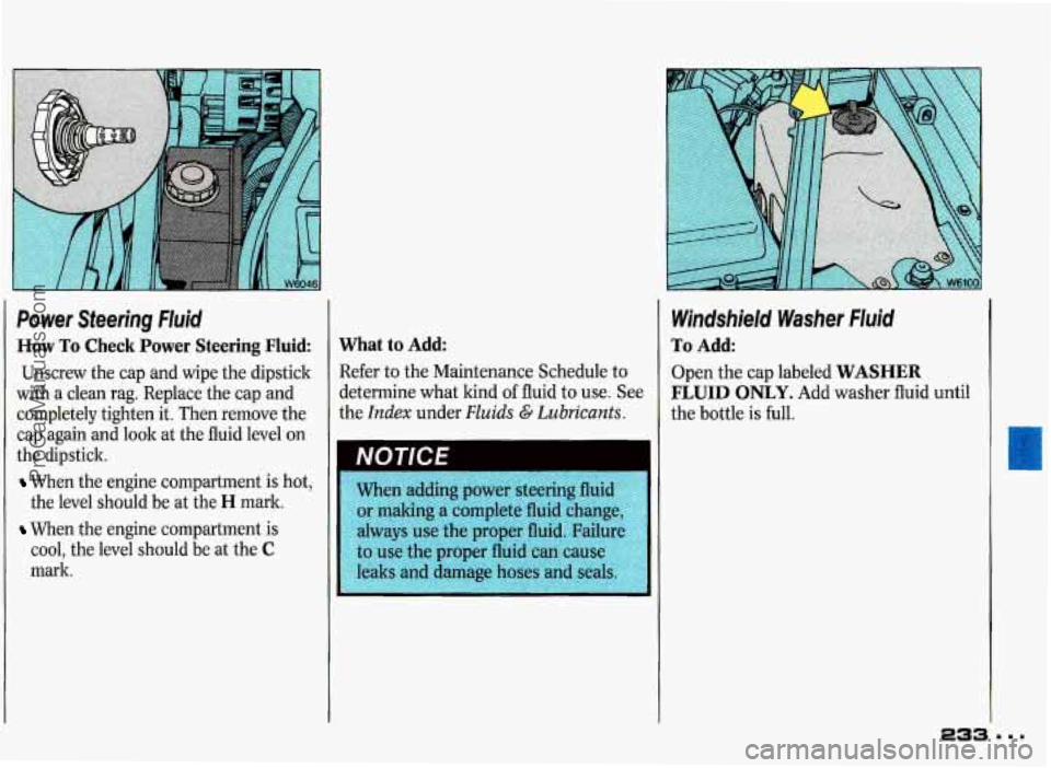 PONTIAC GRAND-PRIX 1993 Owners Manual Power Steering Fluid
How To Check Power Steering Fluid:
Unscrew the cap and wipe the dipstick
with a clean rag. Replace the cap and
completely tighten it. Then remove the
cap ag PONTIAC GRAND-PRIX 1993 Owners Manual Power Steering Fluid
How To Check Power Steering Fluid:
Unscrew the cap and wipe the dipstick
with a clean rag. Replace the cap and
completely tighten it. Then remove the
cap ag