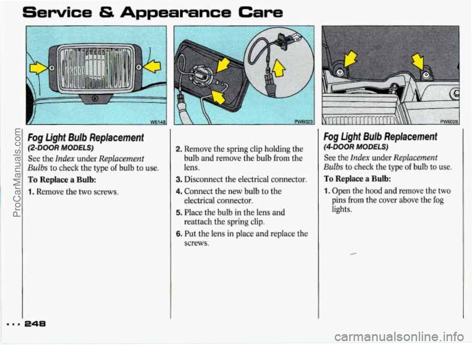 PONTIAC GRAND-PRIX 1993 Owners Manual Service & Appearance Care
...
Fog Light Bulb Replacement
@-DOOR MODELS)
See the Index under Replacement
Bulbs to check the type of bulb to use.
To Replace a Bulb:
1. Remove the two screws PONTIAC GRAND-PRIX 1993 Owners Manual Service & Appearance Care
...
Fog Light Bulb Replacement
@-DOOR MODELS)
See the Index under Replacement
Bulbs to check the type of bulb to use.
To Replace a Bulb:
1. Remove the two screws