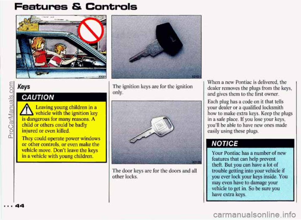 PONTIAC GRAND-PRIX 1993 Service Manual Features & Controls 
When  a  new  Pontiac  is  delivered, the 
dealer  removes  the plugs  from  the keys, 
and  gives  them  to  the  first  owner. 
Each  plug  has a  code 
on it that  tells 
your 