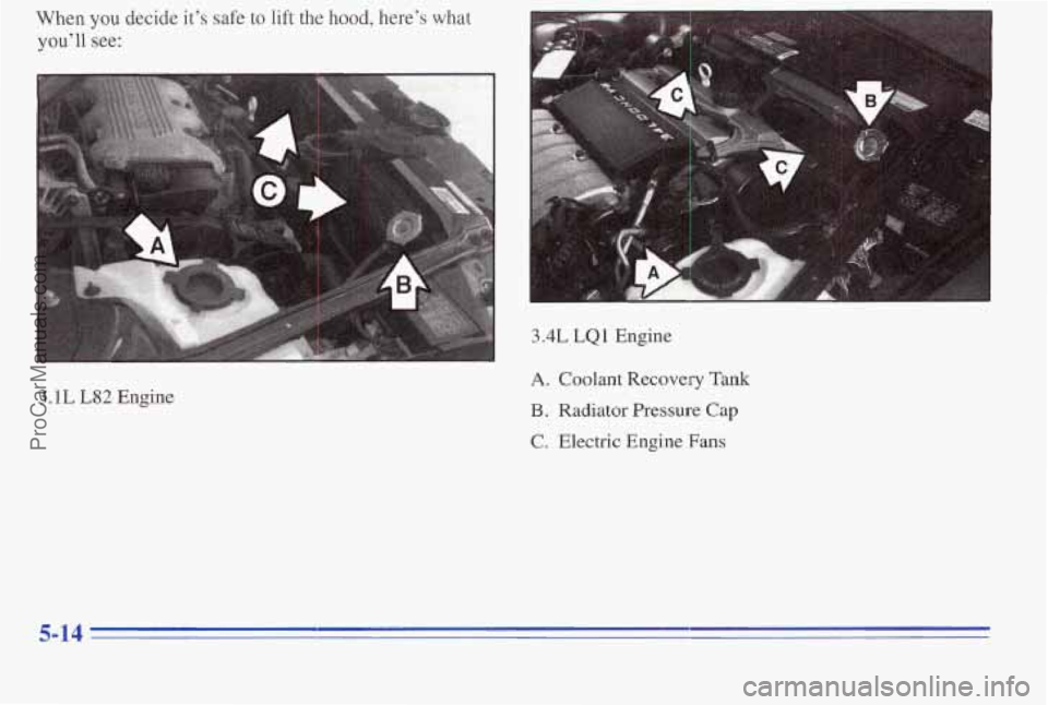 PONTIAC PONTIAC 1996  Owners Manual When you decide it’s safe to  lift the hood,  here’s  what 
you’ll see: 
3.4L LQ1 Engine 
3.1L L82 Engine 
A. Coolant Recovery  Tank 
B. Radiator  Pressure Cap 
C. Electric Engine Fans 
ProCarMa