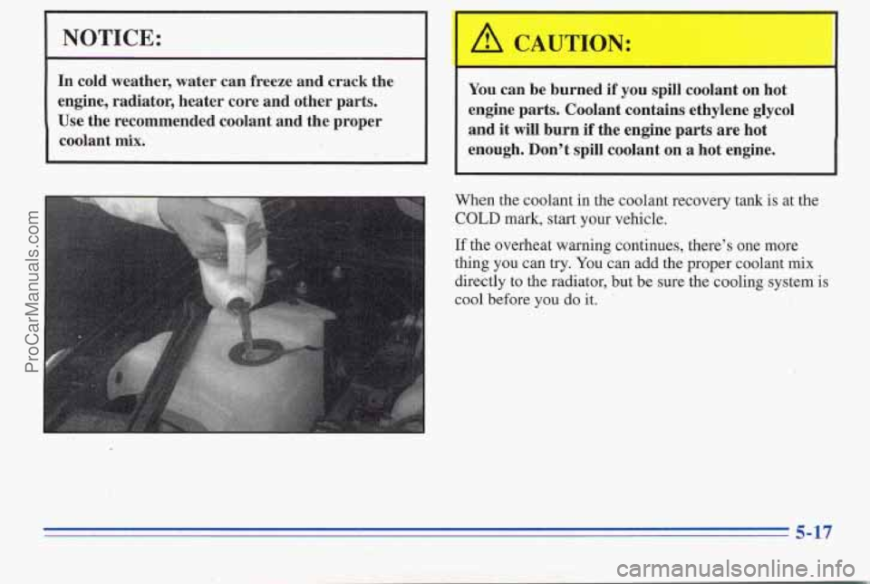 PONTIAC PONTIAC 1996 Owners Manual NOTICE:
In cold weather, water can freeze and crack the
engine, radiator, heater core and other parts.
Use the recommended coolant and the proper
coolant
mix.
You can be burne PONTIAC PONTIAC 1996 Owners Manual NOTICE:
In cold weather, water can freeze and crack the
engine, radiator, heater core and other parts.
Use the recommended coolant and the proper
coolant
mix.
You can be burne