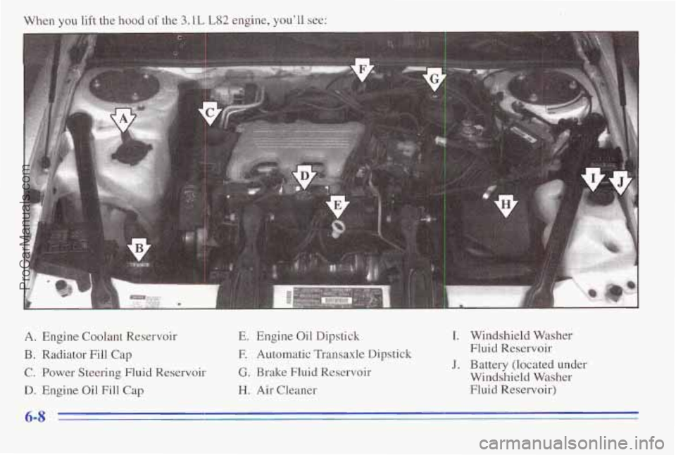 PONTIAC PONTIAC 1996  Owners Manual When you lift the hood of the  3.1L L82 engine, you’ll see: 
A.  Engine  Coolant  Reservoir 
B. Radiator  Fill Cap 
C. Power  Steering  Fluid  Reservoir 
D. Engine  Oil  Fill Cap 
E. Engine  Oil  Di