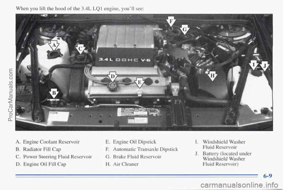 PONTIAC PONTIAC 1996  Owners Manual When you lift the  hood of the  3.4L  LQl engine,  you’ll  see: 
1 
A. Engine  Coolant  Reservoir 
B. Radiator  Fill  Cap 
C. Power Steering Fluid  Reservoir 
D. Engine Oil Fill  Cap  E. 
Engine  Oi