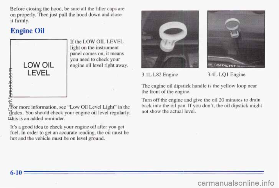 PONTIAC PONTIAC 1996  Owners Manual Before closing the hood, be sure all the filler caps are 
on properly. Then  just pull  the  hood  down and close 
it  firmly. 
Engine Oil 
I 
LOW OIL 
LEVEL 
If the LOW OIL LEVEL 
light on the instru