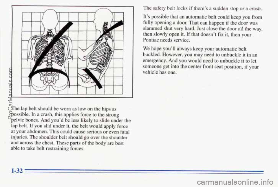 PONTIAC PONTIAC 1996 Owners Guide ‘2
The lap belt ,should be worn as low on the hips as :: ,’ +-
possible. In a crash, this applies force to the strong ;; I
pelvic bones. And you’d be less likely to slide under the
lap PONTIAC PONTIAC 1996 Owners Guide ‘2
The lap belt ,should be worn as low on the hips as :: ,’ +-
possible. In a crash, this applies force to the strong ;; I
pelvic bones. And you’d be less likely to slide under the
lap