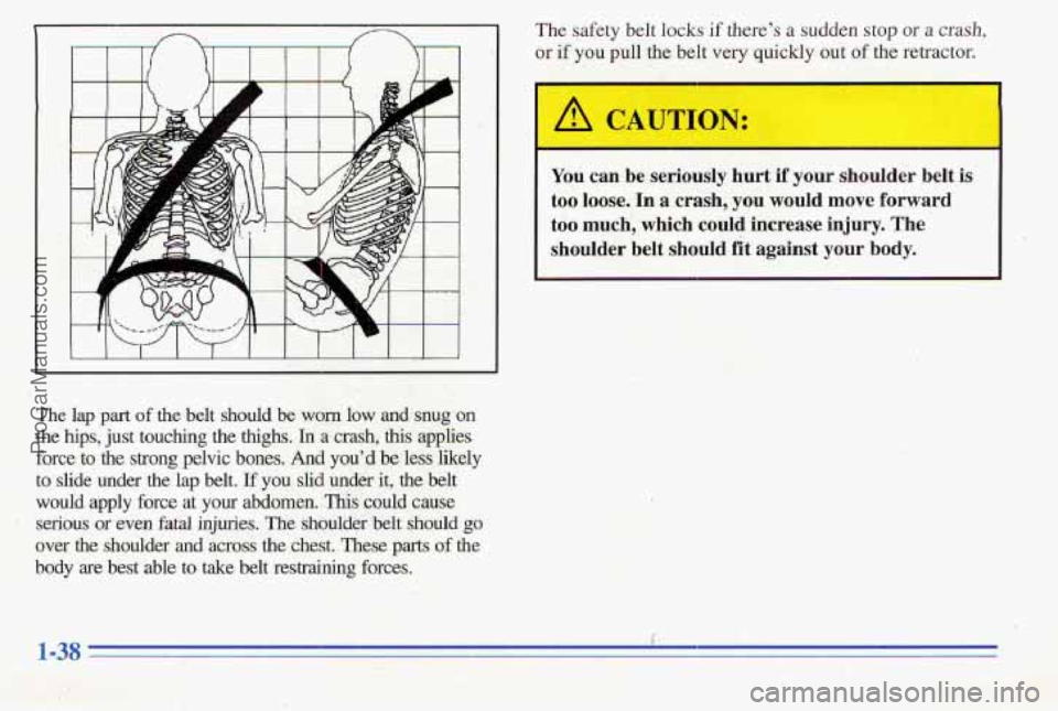 PONTIAC PONTIAC 1996 Service Manual The  lap  part of the  belt  should  be worn low adsnug on 
the hips, just  touching the thighs. In a crash, this applies 
force to the strong pelvic bones. And you’d be  less-likely 
to  slide 
und
