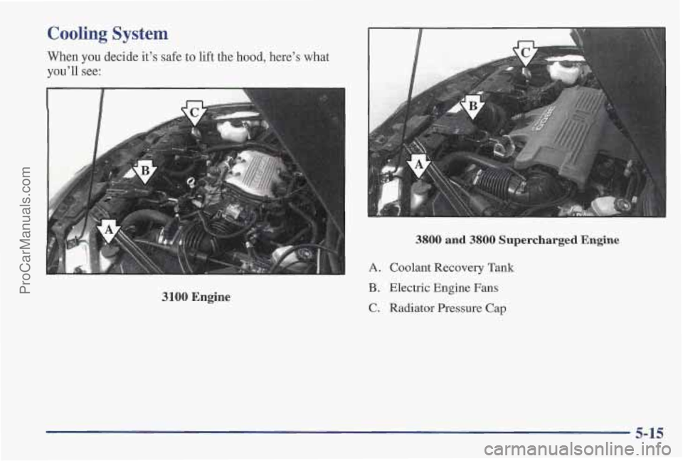 PONTIAC PONTIAC 1997 Owners Manual Cooling System
When you decide it’s safe to lift the hood, here’s what
you’ll see:
3100 Engine
3800 and 3800 Supercharged Engine
A. Coolant Recovery Tank
B. Electric Engine Fans
C. R PONTIAC PONTIAC 1997 Owners Manual Cooling System
When you decide it’s safe to lift the hood, here’s what
you’ll see:
3100 Engine
3800 and 3800 Supercharged Engine
A. Coolant Recovery Tank
B. Electric Engine Fans
C. R