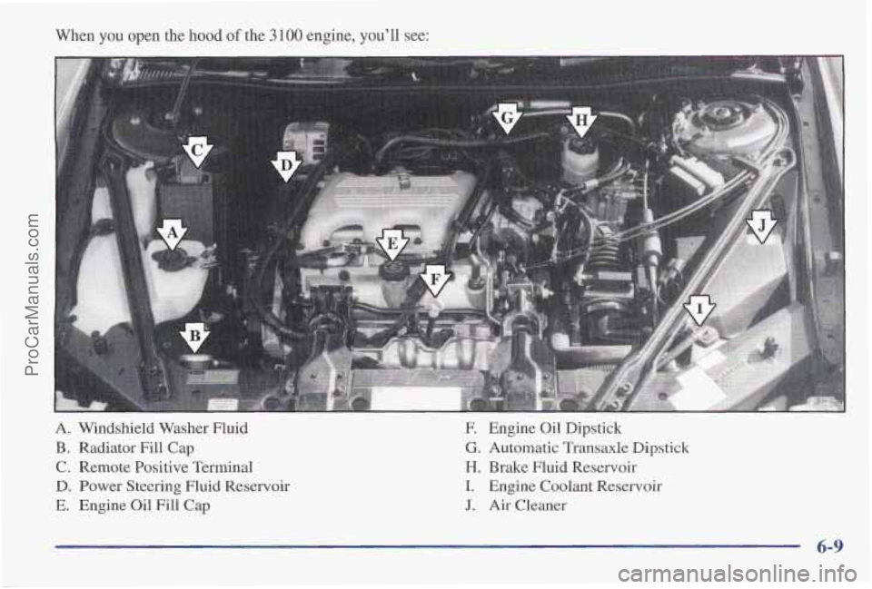 PONTIAC PONTIAC 1997 Owners Manual When you open the hood of the 3 100 engine, you’ll see:
A. Windshield Washer Fluid
B. Radiator Fill Cap
C. Remote Positive Terminal
D. Power Steering Fluid Reservoir
E. Engine Oil Fill Cap PONTIAC PONTIAC 1997 Owners Manual When you open the hood of the 3 100 engine, you’ll see:
A. Windshield Washer Fluid
B. Radiator Fill Cap
C. Remote Positive Terminal
D. Power Steering Fluid Reservoir
E. Engine Oil Fill Cap