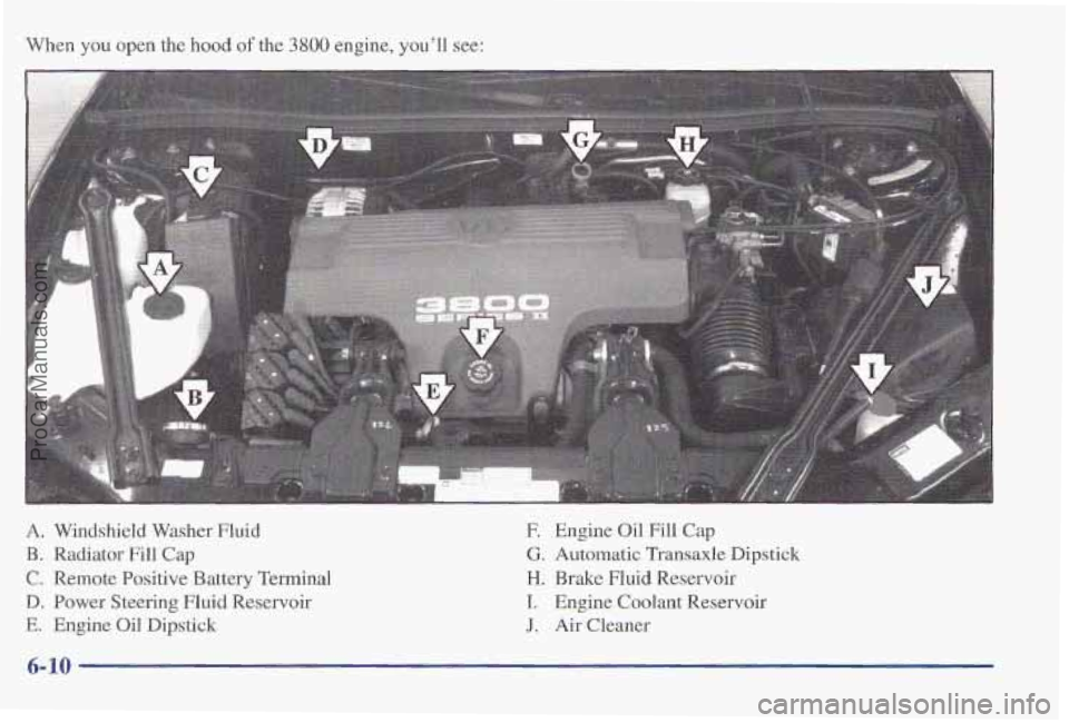 PONTIAC PONTIAC 1997 Owners Manual When you open the hood of the 3800 engine, you’ll see:
A. Windshield Washer Fluid E Engine Oil Fill Cap
€3. Radiator Fill Cap G. Automatic Transaxle Dipstick
C. Remote Positive Battery Termina PONTIAC PONTIAC 1997 Owners Manual When you open the hood of the 3800 engine, you’ll see:
A. Windshield Washer Fluid E Engine Oil Fill Cap
€3. Radiator Fill Cap G. Automatic Transaxle Dipstick
C. Remote Positive Battery Termina