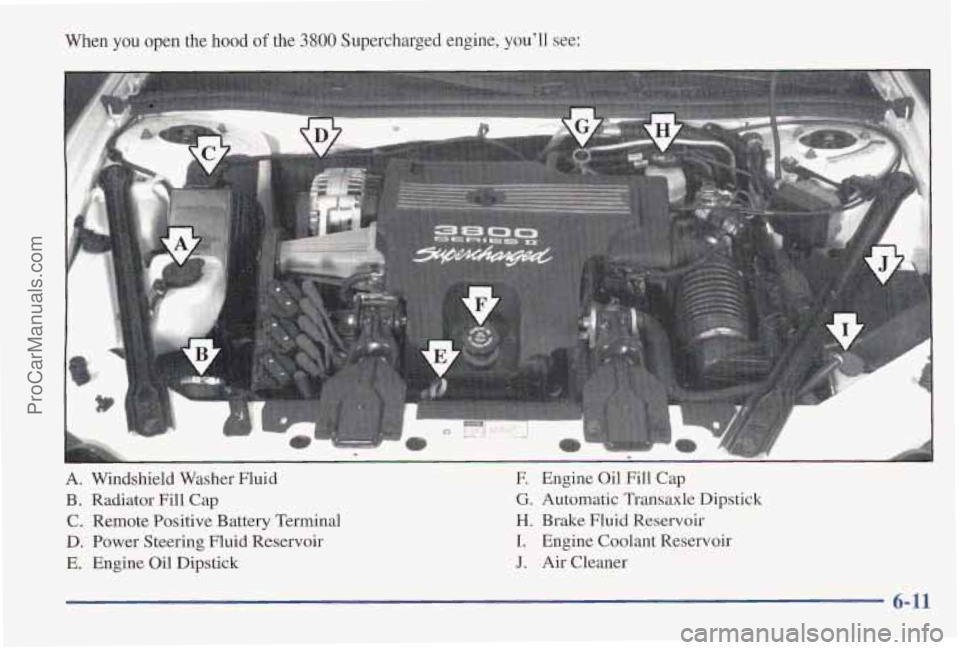 PONTIAC PONTIAC 1997 Owners Manual When you open the hood of the 3800 Supercharged engine, youll see:
- : I: .,,
A. Windshield Washer Fluid
B. Radiator Fill Cap
C. Remote Positive Battery Terminal
D. Power Steering Fluid Reser PONTIAC PONTIAC 1997 Owners Manual When you open the hood of the 3800 Supercharged engine, youll see:
- : I: .,,
A. Windshield Washer Fluid
B. Radiator Fill Cap
C. Remote Positive Battery Terminal
D. Power Steering Fluid Reser