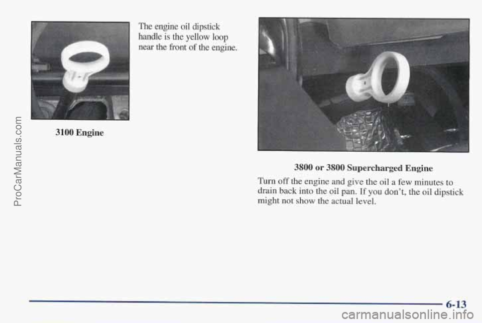 PONTIAC PONTIAC 1997 Owners Manual 3100 Engine
The engine oil dipstick
handle is
the yellow loop
near the front of the engine.
c
3800 or 3800 Supercharged Engine
Turn off the engine and give the oil a few minutes to PONTIAC PONTIAC 1997 Owners Manual 3100 Engine
The engine oil dipstick
handle is
the yellow loop
near the front of the engine.
c
3800 or 3800 Supercharged Engine
Turn off the engine and give the oil a few minutes to