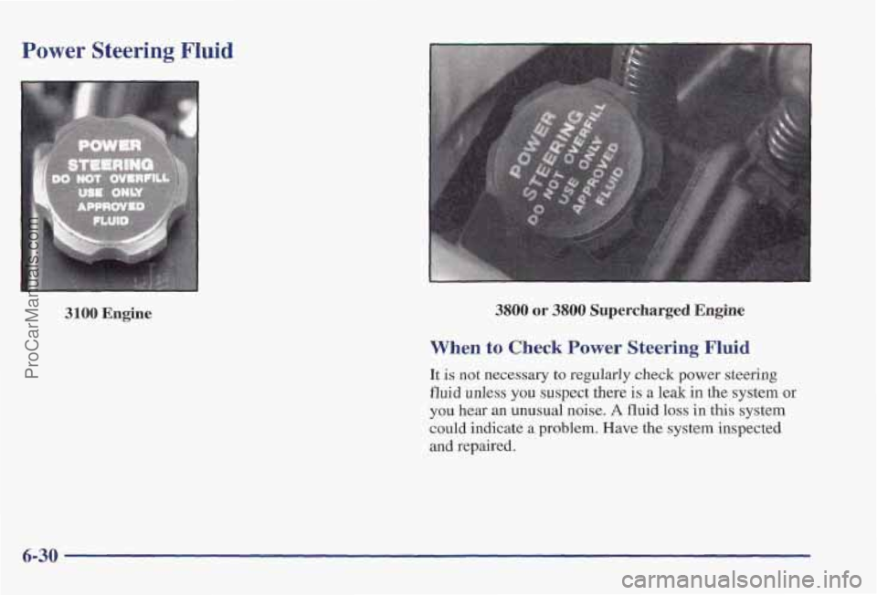 PONTIAC PONTIAC 1997  Owners Manual Power Steering Fluid 
3100 Engine 3800 or 3800 Supercharged Engine 
When to Check Power Steering Fluid 
It is not necessary to regularly check power steering 
fluid unless 
you suspect there is a leak