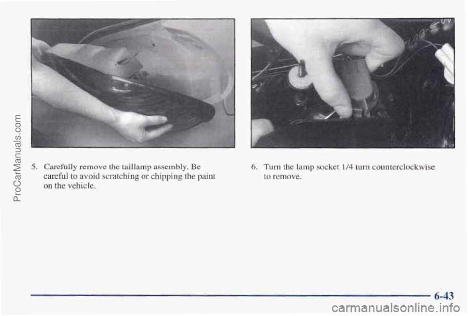 PONTIAC PONTIAC 1997  Owners Manual 5. Carefully remove the taillamp  assembly. Be 
careful to avoid scratching  or  chipping  the paint 
on the vehicle. 
6-43 
ProCarManuals.com 