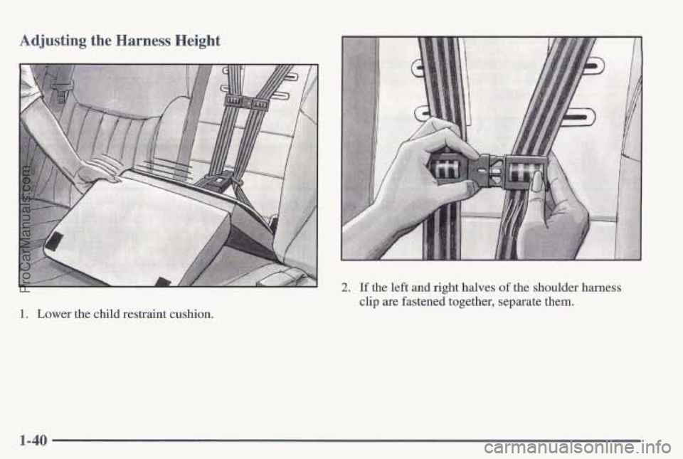 PONTIAC PONTIAC 1997 Service Manual Adjusting the Harness Height 
1. Lower the child  restraint  cushion. 
2. If the left and right  halves of the shoulder  harness 
clip  are fastened  together,  separate them. 
1-40 
ProCarManuals.com