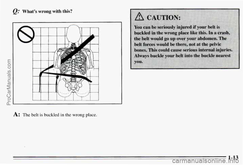 PONTIAC PONTIAC 1995 User Guide What’s wrong with  this? 
1-13 
ProCarManuals.com 