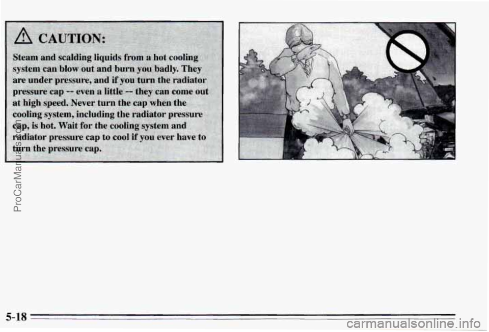 PONTIAC PONTIAC 1995  Owners Manual 5-18 
ProCarManuals.com 