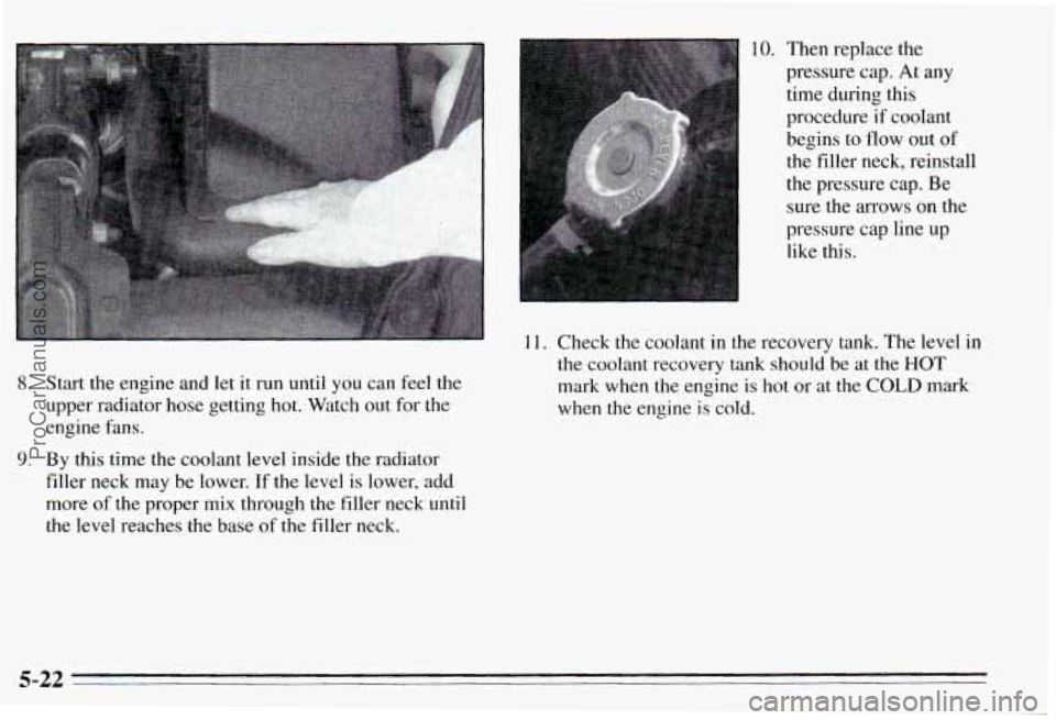 PONTIAC PONTIAC 1995  Owners Manual 8. Start the  engine  and  let it run  until you can  feel the 
upper  radiator  hose  getting  hot. Watch  out  for the 
engine  fans. 
filler  neck  may  be lower.  If the  level  is lower,  add 
mo