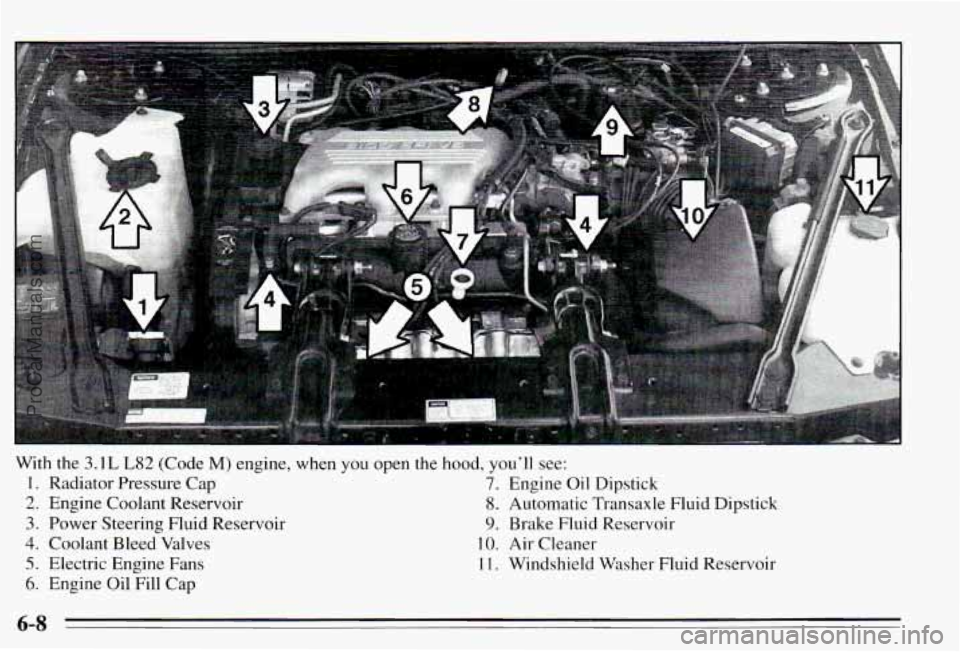 PONTIAC PONTIAC 1995 Owners Manual I
a3
7
With the 3.1 L L82 (Code M) engine, when you open the hood, you’ll see:
1. Radiator Pressure Cap 7. Engine Oil Dipstick
2. Engine Coolant Reservoir 8. Automatic Transaxle Flu PONTIAC PONTIAC 1995 Owners Manual I
a3
7
With the 3.1 L L82 (Code M) engine, when you open the hood, you’ll see:
1. Radiator Pressure Cap 7. Engine Oil Dipstick
2. Engine Coolant Reservoir 8. Automatic Transaxle Flu