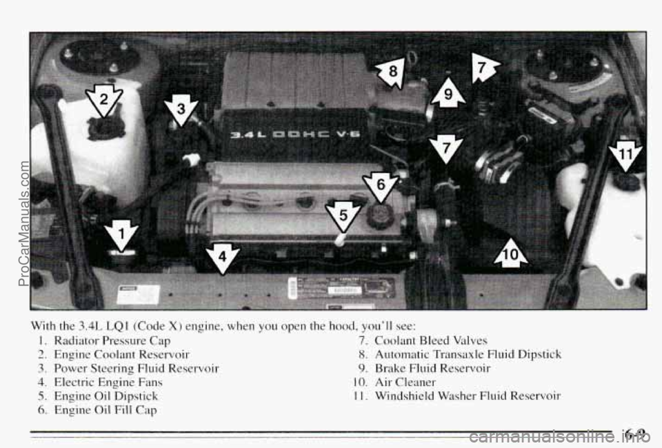 PONTIAC PONTIAC 1995 Owners Manual 4 L,
With the 3.4L LQI (Code X) engine, when you open the hood, youll see:
1. Radiator Pressure Cap 7. Coolant Bleed Valves
2. Engine Coolant Reservoir 8. Automatic Transaxle Fluid PONTIAC PONTIAC 1995 Owners Manual 4 L,
With the 3.4L LQI (Code X) engine, when you open the hood, youll see:
1. Radiator Pressure Cap 7. Coolant Bleed Valves
2. Engine Coolant Reservoir 8. Automatic Transaxle Fluid