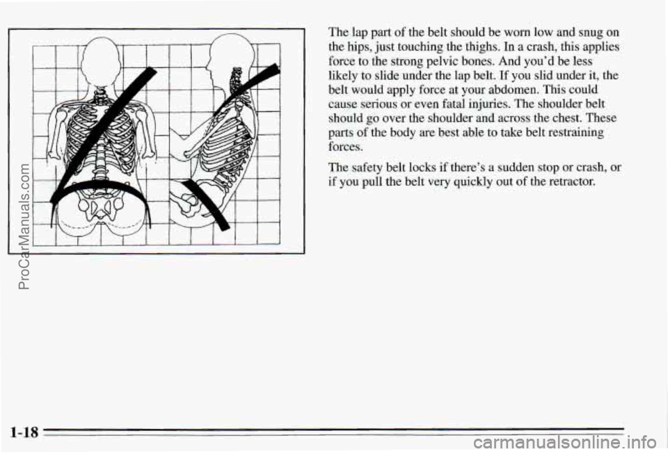 PONTIAC PONTIAC 1995 Owners Manual , .A 
The lap part of the belt  should  be  worn  low  and  snug  on 
the  hips,  just touching  the  thighs. 
In a crash, this applies 
force 
to the strong pelvic  bones.  And  youd be less 
likely