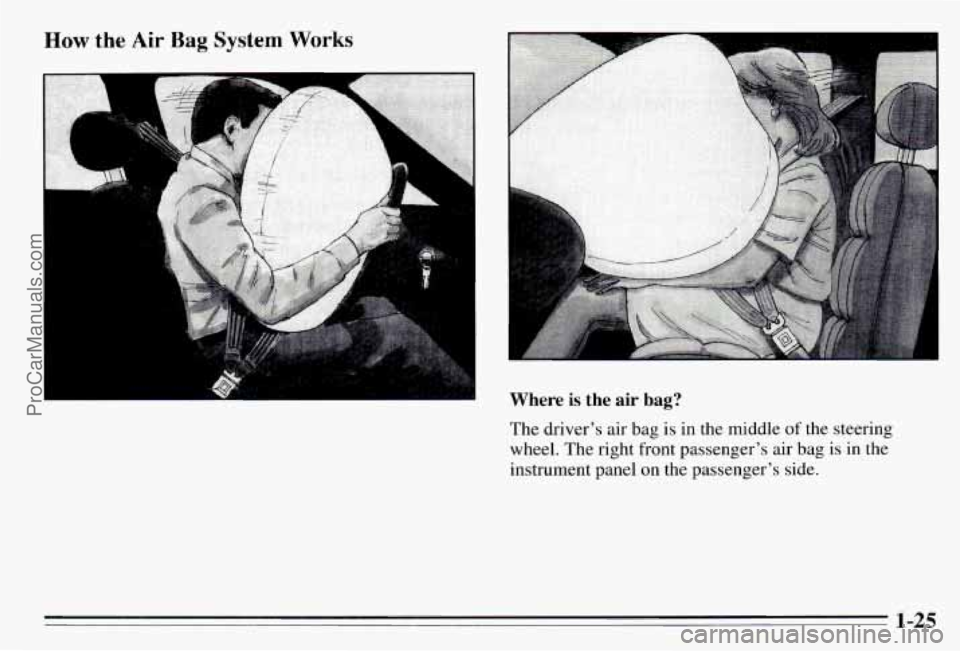 PONTIAC PONTIAC 1995 Owners Guide How the Air Bag System Works
Where is the air bag?
The driver’s air bag is in the middle of the steering
wheel. The right front passenger’s air bag is
in the
instrument panel on th PONTIAC PONTIAC 1995 Owners Guide How the Air Bag System Works
Where is the air bag?
The driver’s air bag is in the middle of the steering
wheel. The right front passenger’s air bag is
in the
instrument panel on th