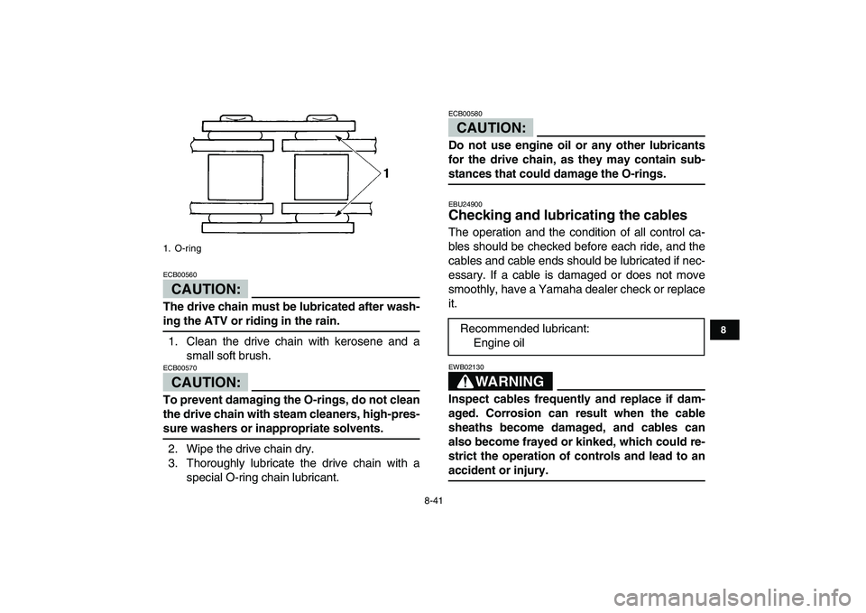 YAMAHA BANSHEE 350 2007  Owners Manual  
8-41 
1
2
3
4
5
6
78
9
10
11
CAUTION:
 
ECB00560  
The drive chain must be lubricated after wash- 
ing the ATV or riding in the rain. 
1. Clean the drive chain with kerosene and a
small soft brush.
